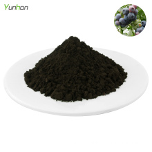 Anti Aging Pure European Chinese In Bulk Dry Bilberry Fruit Extract 25% Anthocyanins Price Powder Bilberry Extract